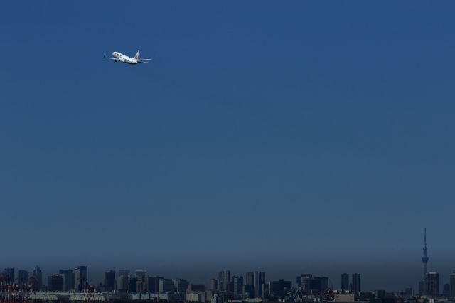 Boeing 737-800 (JA344J)