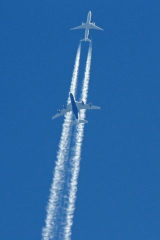 Airbus A380-800 (G-XLEB) - BAW287 (LHR-SFO) climbing through fl310 as THY1 (IST-JFK) - TC-JJE - passes over at fl340