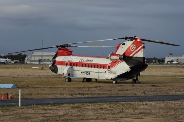 Boeing CH-47 Chinook (N238CH) - N238CH parked at Helipad West after arriving from Scone NSW.