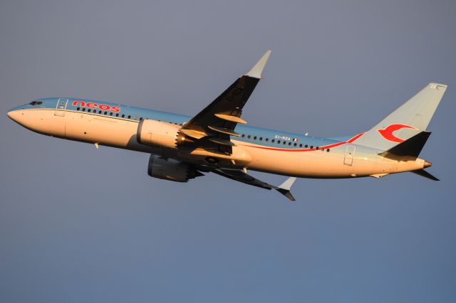 Boeing 737 MAX 8 (EI-RZA)