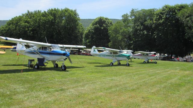 Piper PA-22 Tri-Pacer (N87NM)