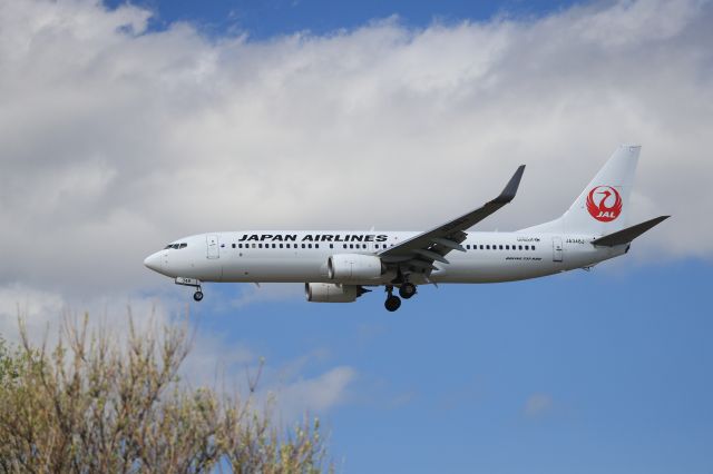 Boeing 737-800 (JA348J) - May 5th 2020:HND-HKD.