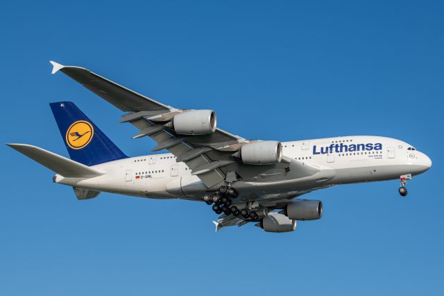 Airbus A380-800 (D-AIML)