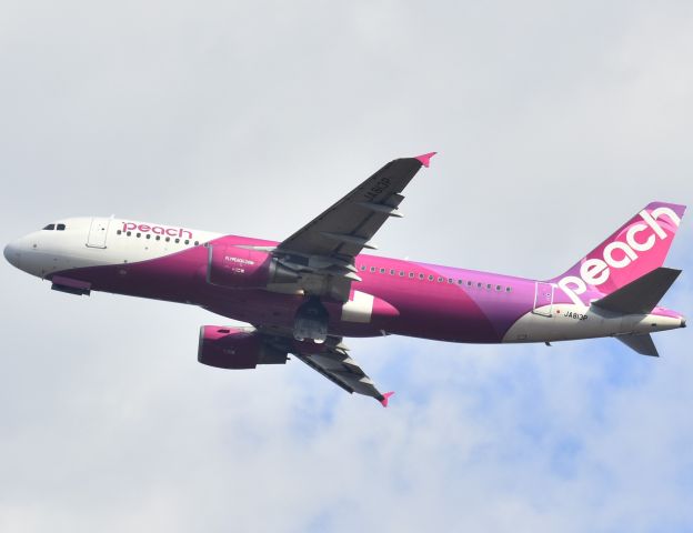 Airbus A320 (JA813P)