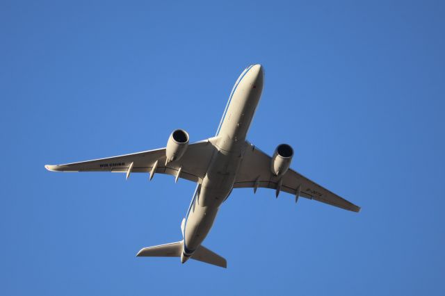 Airbus A350-900 (B-307A)