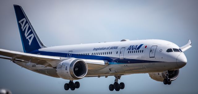 Boeing 787-8 (JA813A) - landing at LAX