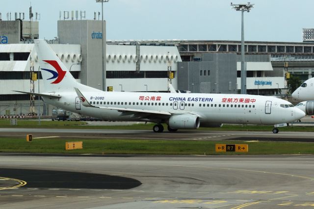 Boeing 737-800 (B-208D)