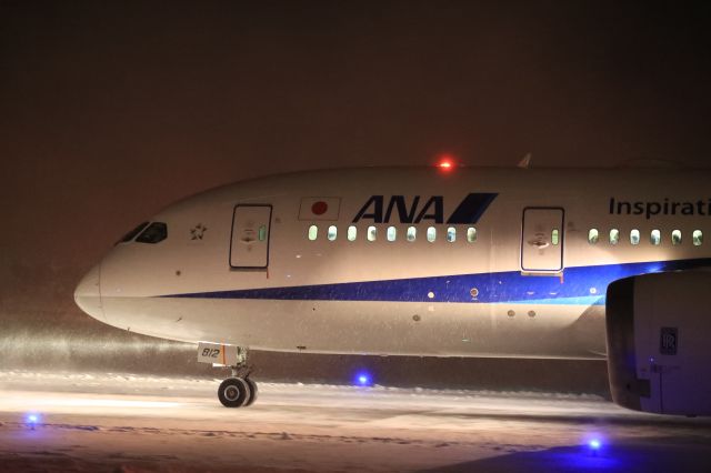 Boeing 787-8 (JA812A) - December 7th 2018:HND-HKD.