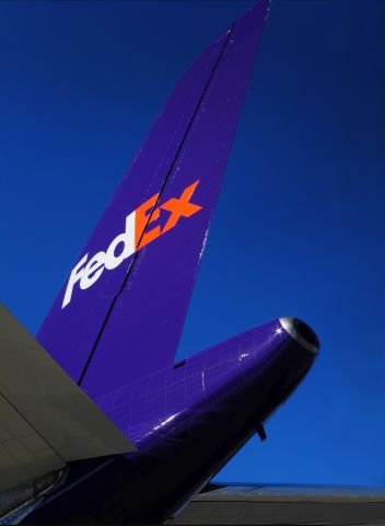 Airbus A310 (N435FE) - FedEx tail with a blue sky.