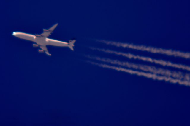 Airbus A340-300 (D-AIFF)