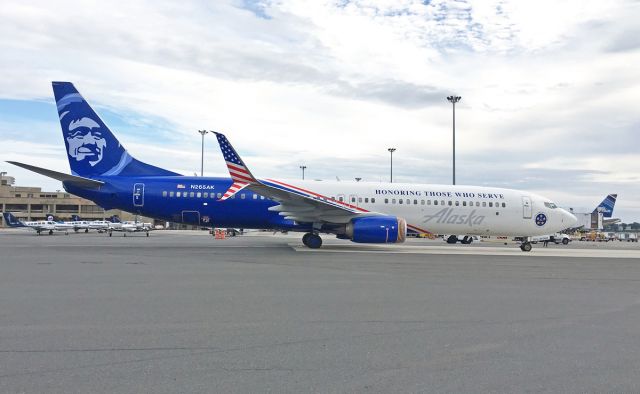 Boeing 737-900 (N265AK) - Honoring those who serve