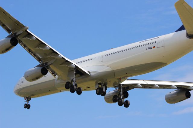 Airbus A340-300 (D-AIGS)