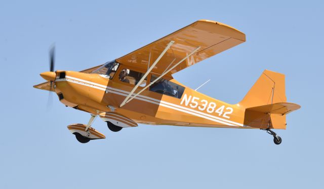 CHAMPION Tri-Traveler (N53842) - Airventure 2017