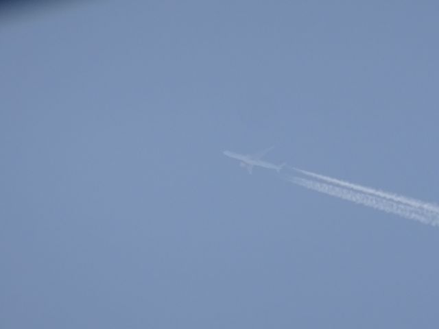 Boeing 777-200 — - star alliance ANA 777-300er from Narita to Chicago