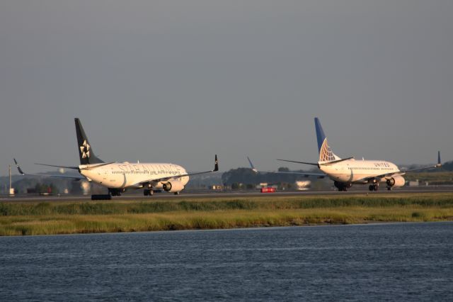 Boeing 737-800 (N26210) - Continental United B738 follows another Continental United B737 back to their gates.