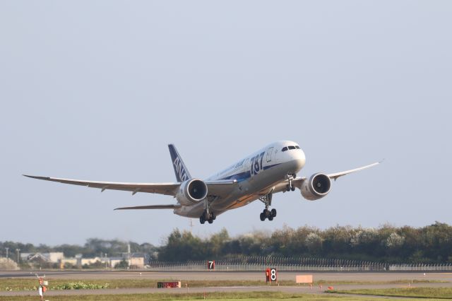 Boeing 787-8 (JA811A) - 21 September 2015: HKD-HND.