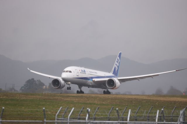 Boeing 787-8 (JA816A) - May 04, 2025:HND-HKD.