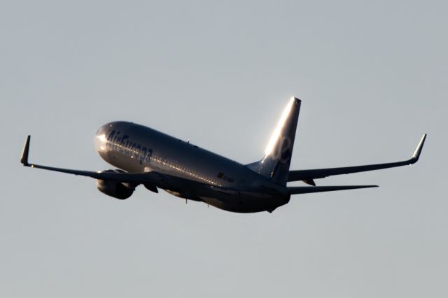 Boeing 737-800 (EC-MJU)