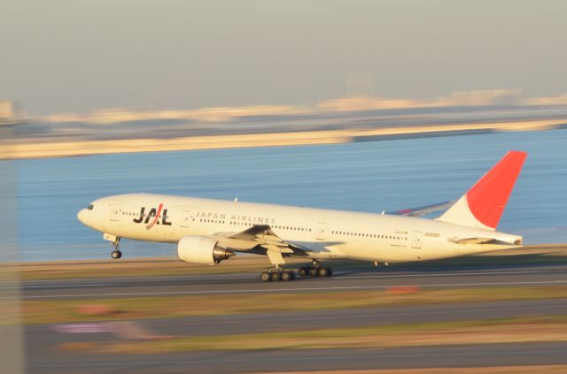 Boeing 777-200 (JA8981)