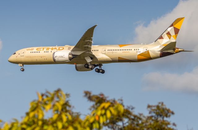 Boeing 787-9 Dreamliner (A6-BLE)