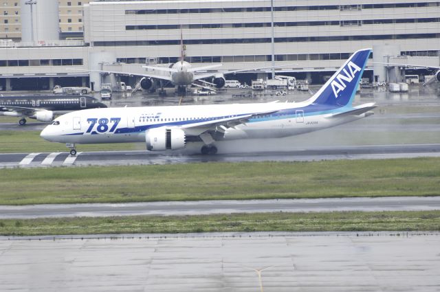 Boeing 787-8 (JA806A) - Landing at Haneda Intl Airport Rwy34L on 2012/05/18