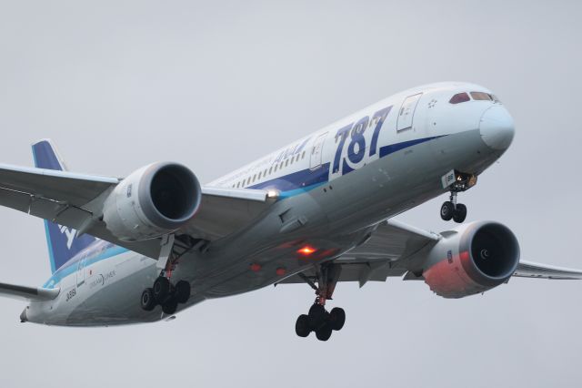 Boeing 787-8 (JA816A) - 03 August 2016:HND-HKD.