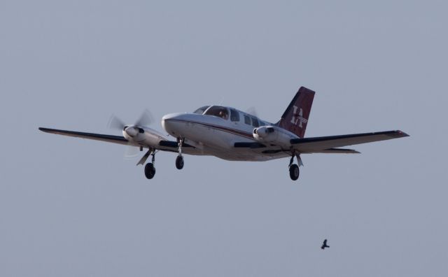 Cessna 402 (N402BK)