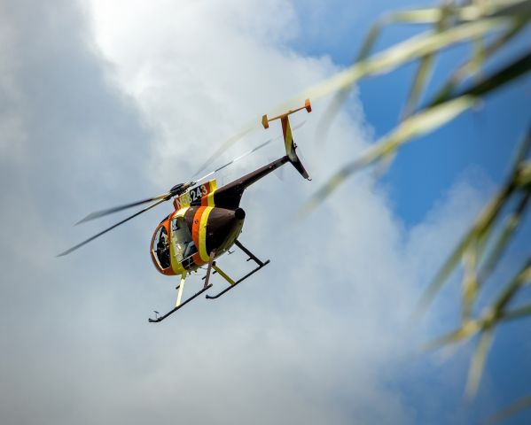 MD Helicopters MD 500 (N58243) - Resort Helicopter at Turtle Bay painted up like the one used for the TV program Magnum P.I.