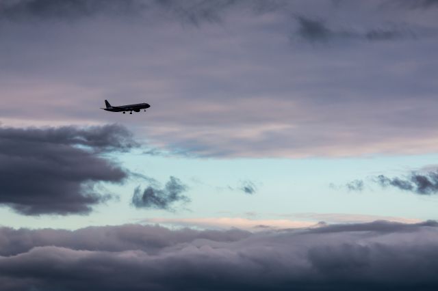 Airbus A321 (B-2419)