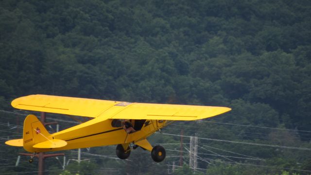 Piper NE Cub (N2252M) - Sentimental Journey 2016