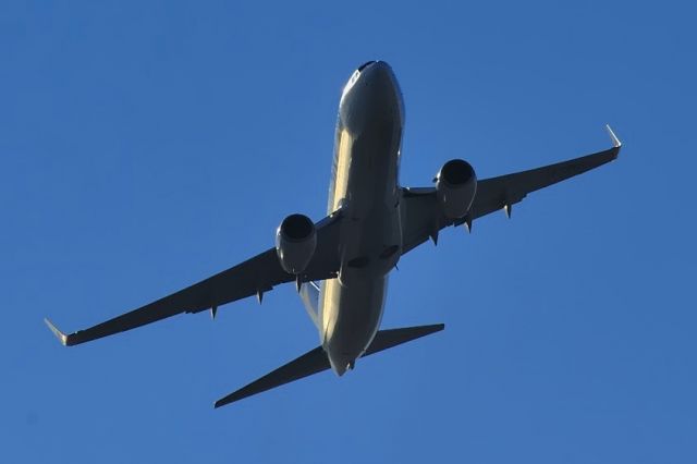 Boeing 737-800 (JA73NG) - 2013