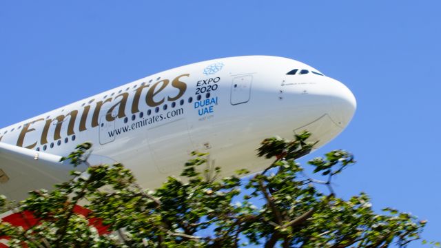 Airbus A380-800 (A6-EOH) - Gentle giant lurking behind the tree!