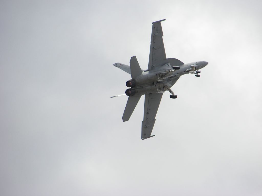 McDonnell Douglas FA-18 Hornet — - MCAS Miramar Airshow 2007  San Diego, CA  Super Hornet dirty roll on takeoff!