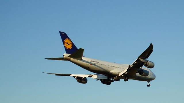 BOEING 747-8 (D-ABYH)