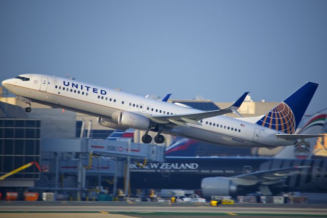 Boeing 737-900 (N34455)