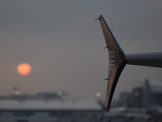 Airbus A321 — - Early morning dew drips from the right winglet of an Airbus A321. Sunrise at LAX, Los Angeles, California USA. Four static wicks are mounted on the trailing edge of the winglet to discharge static electricity that could build up as the aircraft flies. For more information about winglets, look at this link: a rel=nofollow href=http://www.airspacemag.com/flight-today/wing.htmlhttp://www.airspacemag.com/flight-today/wing.html/a