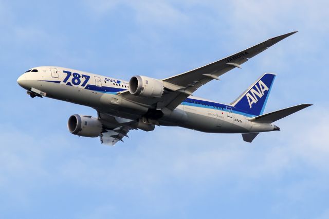 Boeing 787-8 (JA805A)