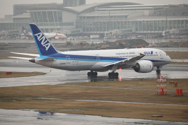 Boeing 787-8 (JA804A) - March 23, 2024:FUK-HND.