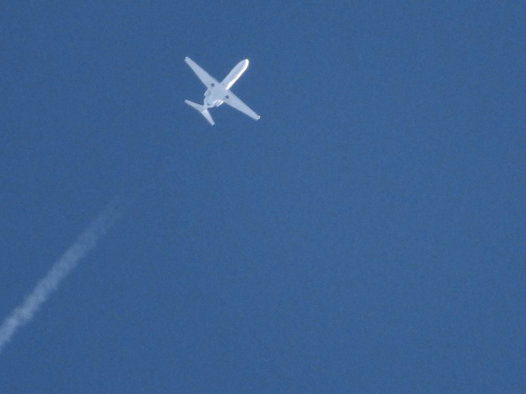 Cessna Citation CJ3 (N377PL)