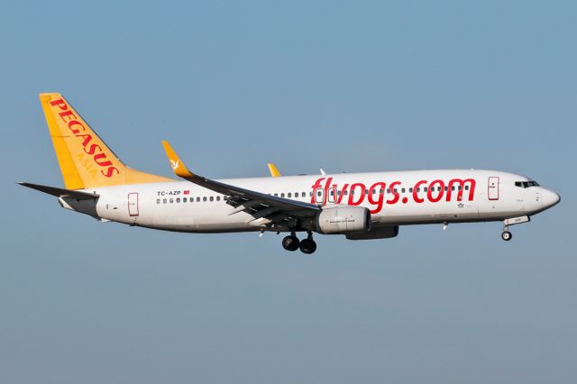 Boeing 737-800 (TC-AZP) - PGT1179 from Istanbul SAW