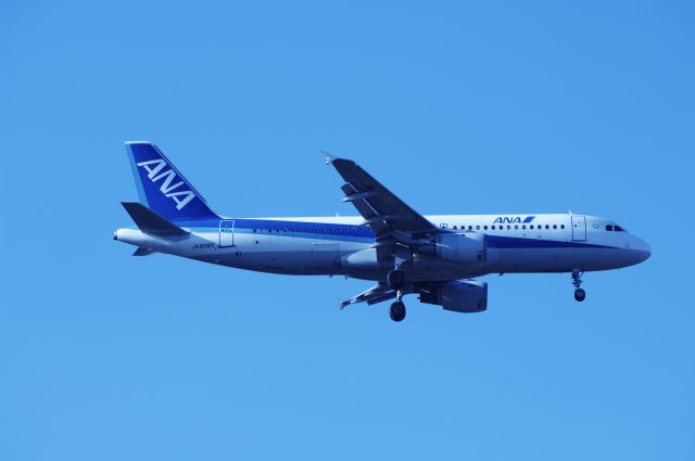 Airbus A320 (JA8385) - Final Approach to NRT Airport Runway 34L 0n 2011/12/12