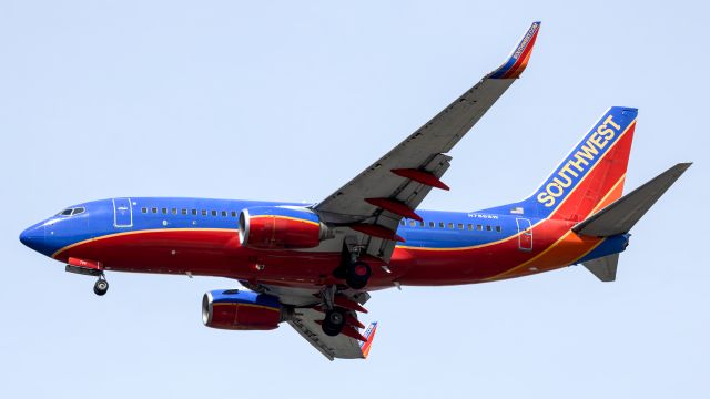 Boeing 737-700 (N786SW) - "786" seen here arriving in the morning from ATL. With the retirement of sister "762", this leaves one final original Southwest ordered example of the Canyon Blue scheme left.br /br /Delivered all the way back in October of 2000, and if the information I've gathered is correct, it will follow fellow Canyon Blue fleet-mate N7813P in October of this year to retirement. With those last two retired, it will finally bring the end of the Canyon Blue scheme, one that is very nostalgic for me and I'm sure many others, on any regular fleet aircraft.