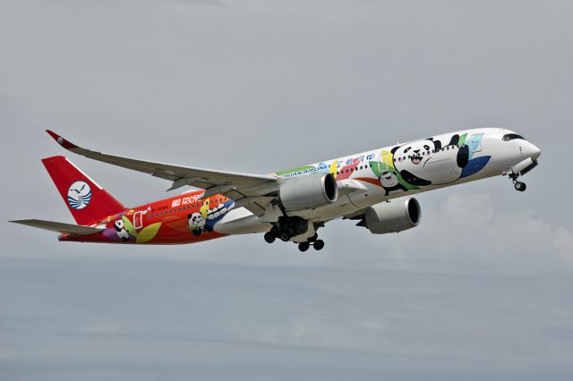 Airbus A350-900 (B-306N)