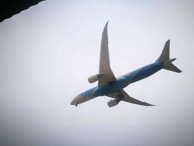 B-20EH — - 南航787