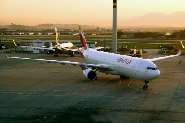 Airbus A330-300 (EC-LZX)