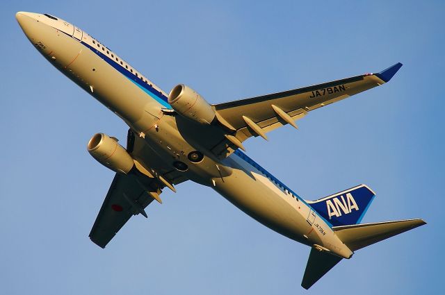 Boeing 737-800 (JA79AN)