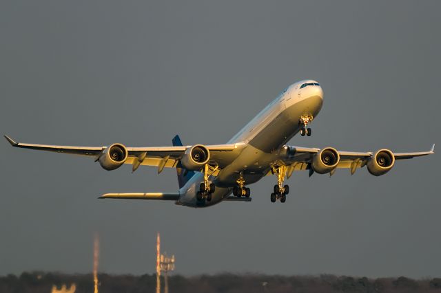 Airbus A340-600 (D-AIHP) - evening sun