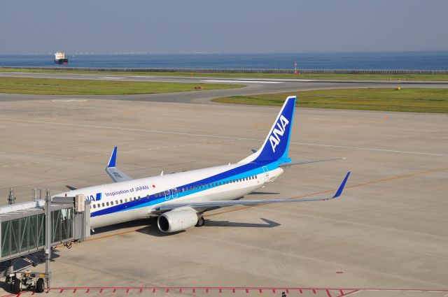 Boeing 737-800 (JA66AN)