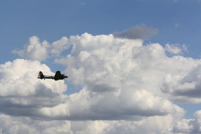 Boeing B-17 Flying Fortress (N5017N)