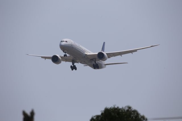 Boeing 787-9 Dreamliner (N24973)